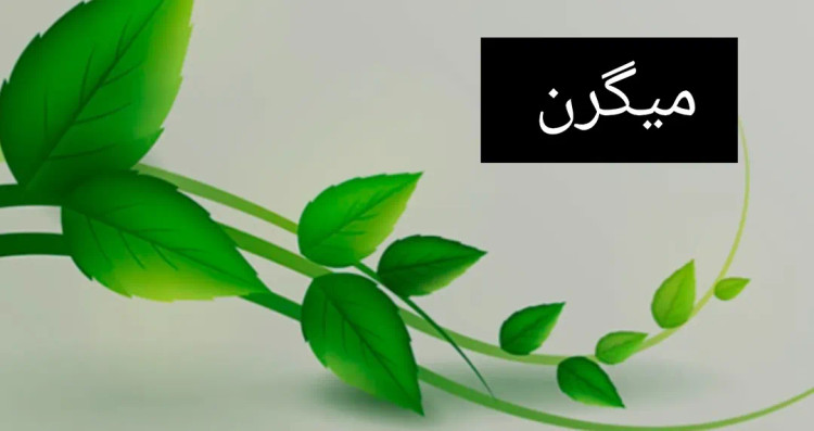 روغن معجزه گر